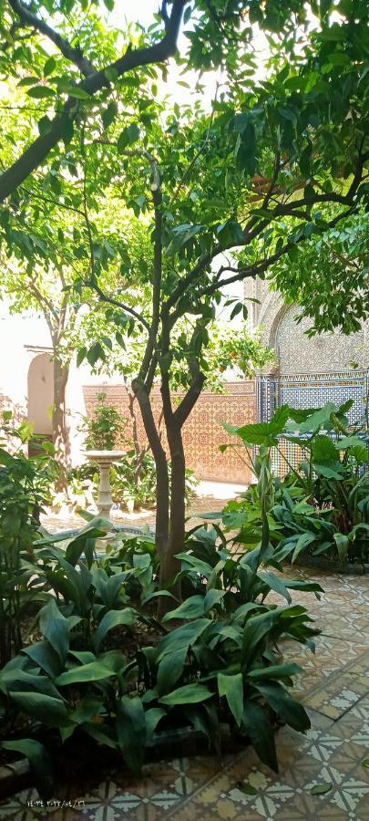 Riad Dar Zaida Marrakesch Exterior foto